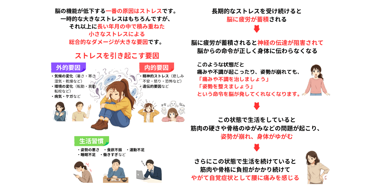 ストレスが脳の機能低下の原因　ストレスが身体に与える影響